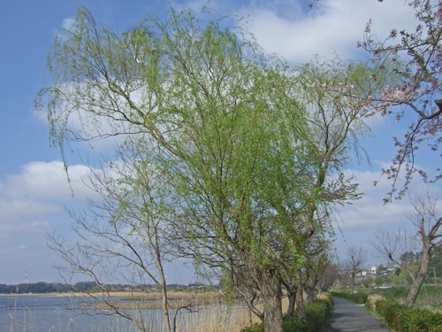 b0045357_13571591.jpg