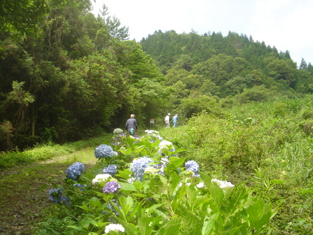 c0108460_003844.jpg