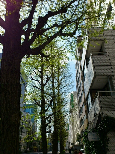 f0110663_737342.jpg