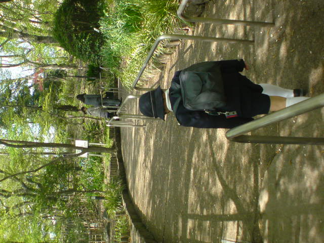 c0095264_1650468.jpg