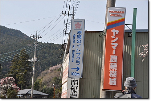 b0053765_1664923.jpg