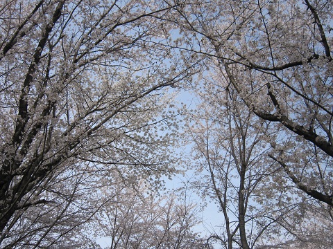 d0120665_20195741.jpg
