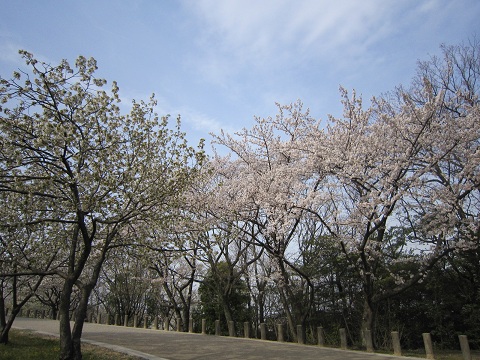 d0120665_20214976.jpg