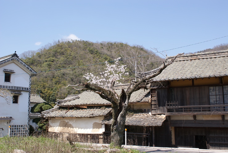a0091666_10255433.jpg
