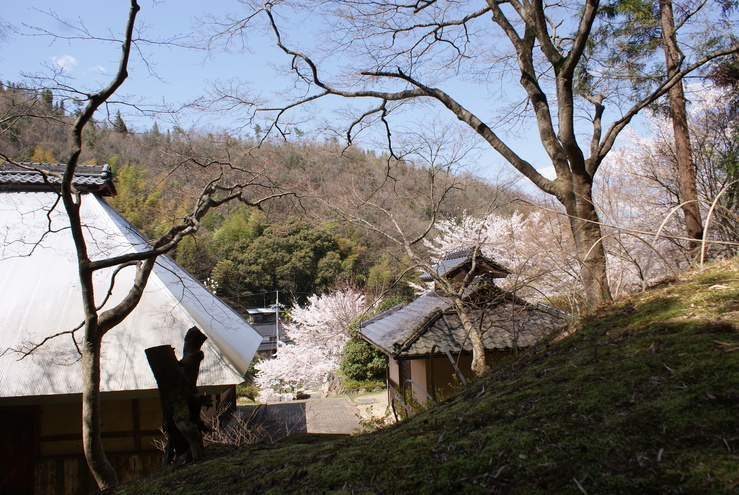 a0091666_10534698.jpg
