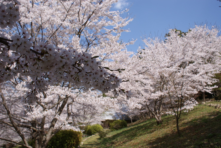 a0091666_1054710.jpg