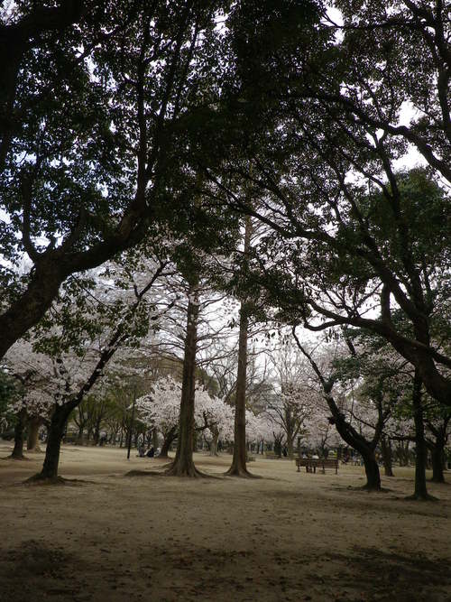 e0143671_128096.jpg