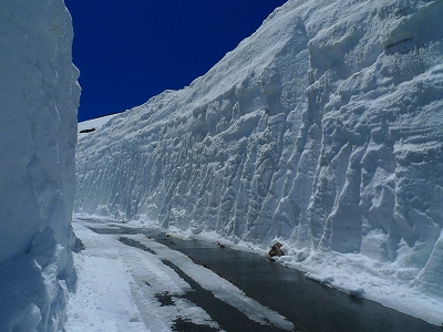 f0182173_10443788.jpg