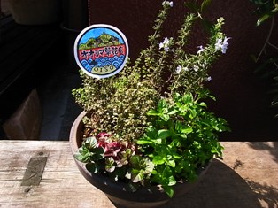 b0099276_9261331.jpg