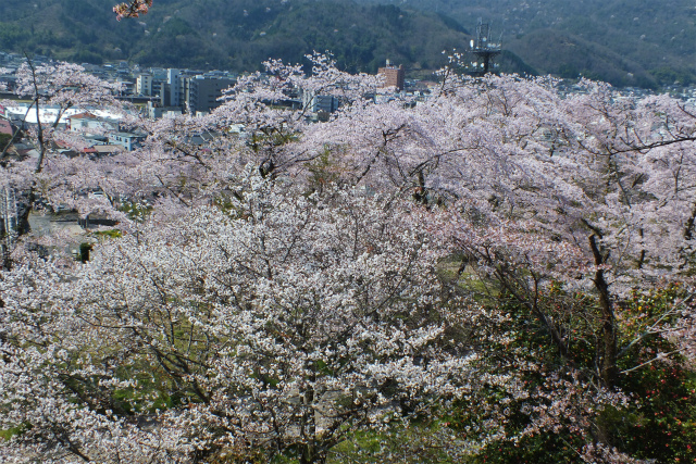 d0245378_14153437.jpg