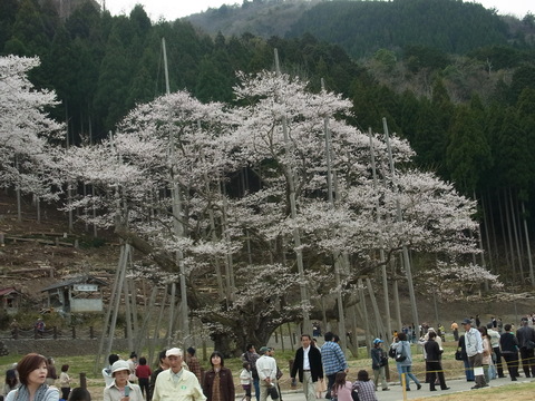 f0014980_03890.jpg