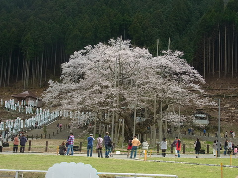 f0014980_053513.jpg