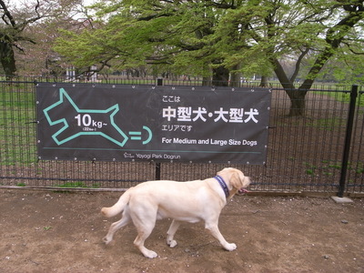 a0195486_022714.jpg