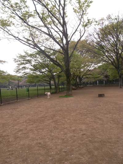 a0195486_04443.jpg