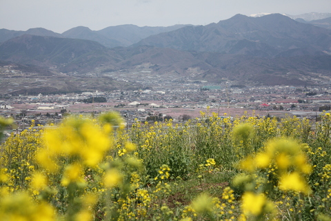 a0216086_2249406.jpg