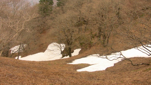 b0050787_9174823.jpg