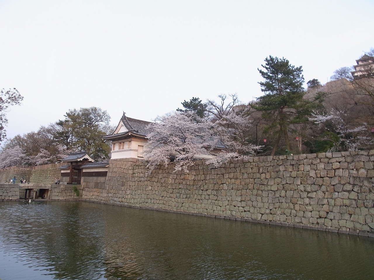 f0140087_0353810.jpg