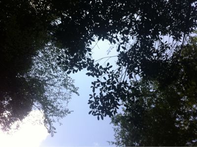 c0002089_18523278.jpg