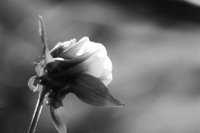c0246290_1753617.jpg