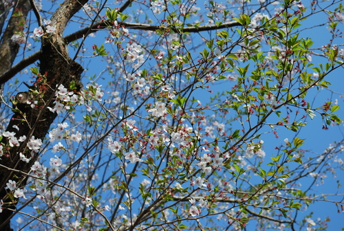a0147391_18281081.jpg