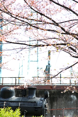 e0229992_1635393.jpg