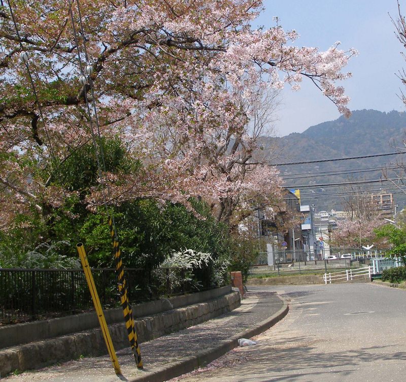 b0212396_2139856.jpg