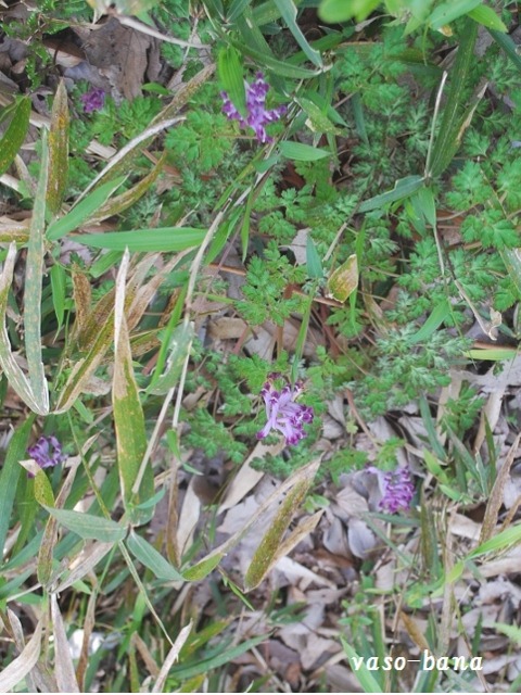 e0025300_11573128.jpg