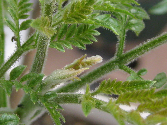 f0236201_8453240.jpg