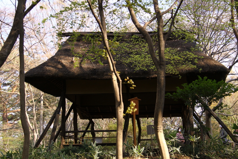 d0248502_19462773.jpg