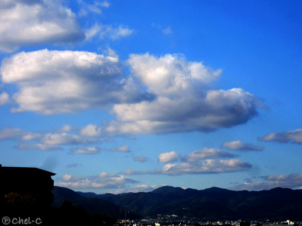a0154706_13585778.jpg