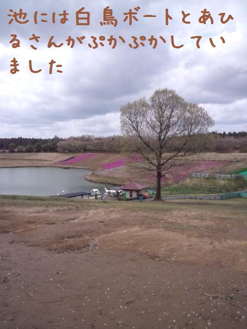 e0246708_21122261.jpg