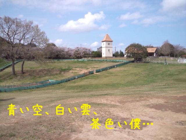 e0246708_21141572.jpg