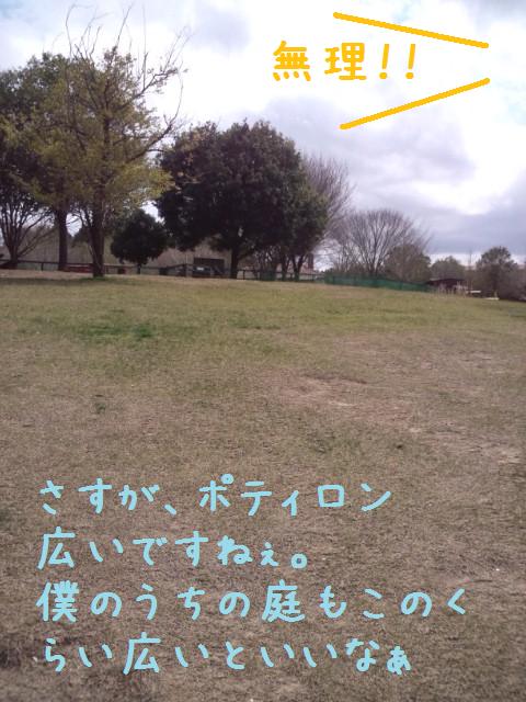 e0246708_2193433.jpg