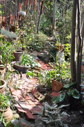 f0188408_1324544.jpg