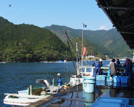 d0154609_16251389.jpg