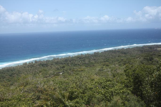 a0158511_12425060.jpg