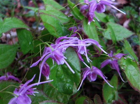 a0164011_2057719.jpg