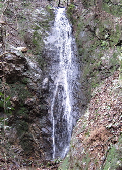a0164011_2181194.jpg