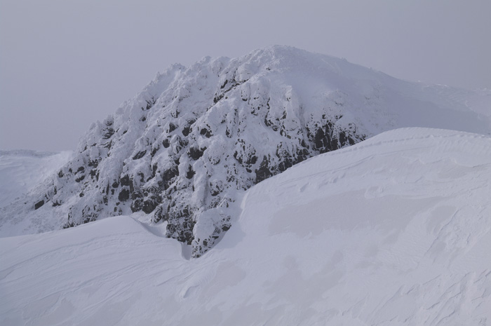 c0110112_0142758.jpg