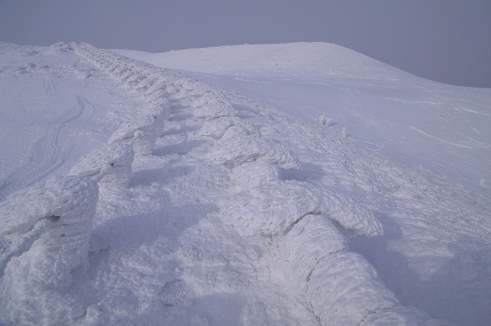 c0110112_0144752.jpg
