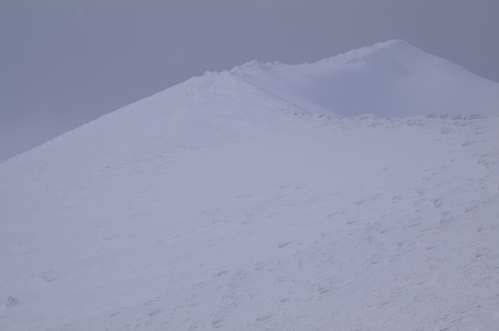 c0110112_0172440.jpg