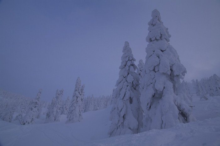 c0110112_0183427.jpg