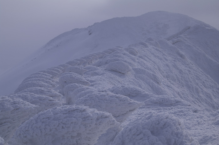 c0110112_06910.jpg