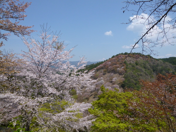 e0233614_22581438.jpg