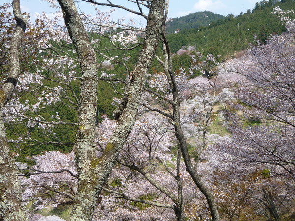e0233614_2311146.jpg