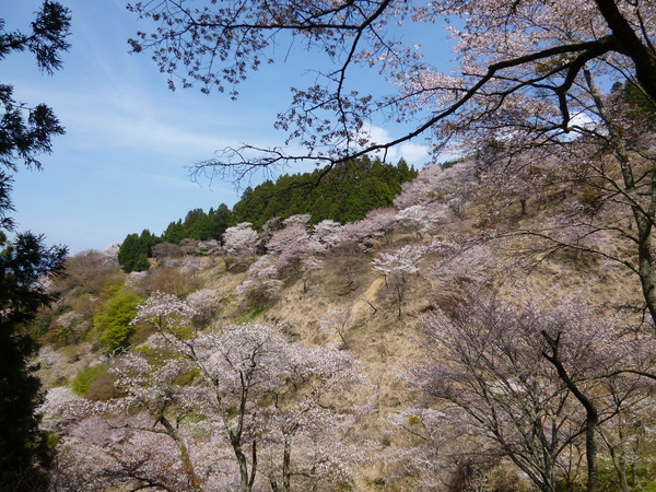 e0233614_2344728.jpg