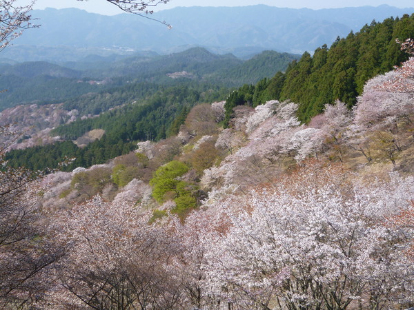 e0233614_8291281.jpg