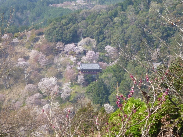 e0233614_8293088.jpg