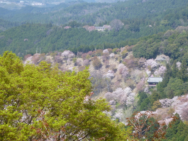 e0233614_8312152.jpg