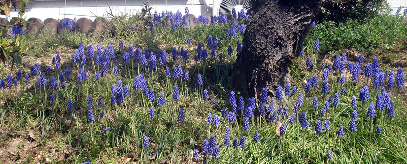 e0083820_9193388.jpg